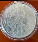 2024-W American Silver Eagle $1 Coin 1 oz .999 Fine Silver Walking Liberty Capsu