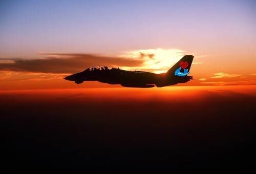 Photo US Navy Grumman F-14A Tomcat VF-154 Black Knights NF106 USN BuNo 161291 - Picture 1 of 9