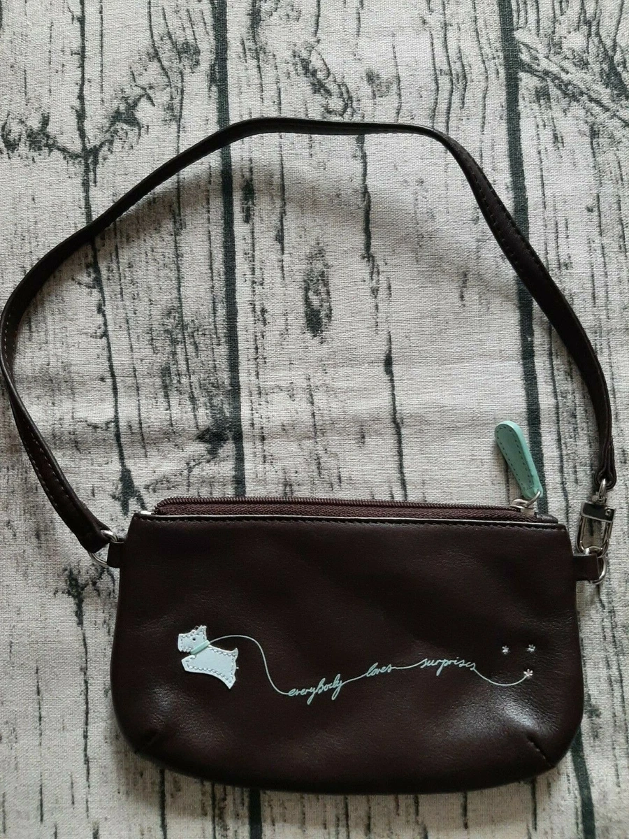 Small radley shop purse