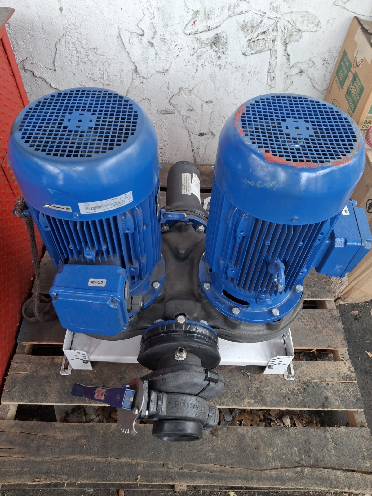 Lowara PLM132B14S Centrifugal Water Pump  NEW! You Get The Same Like Pic
