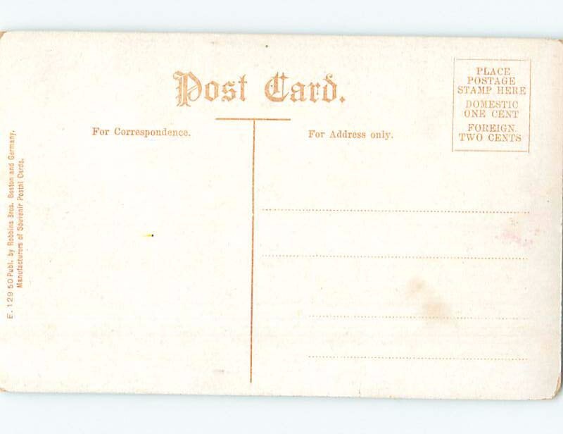 Unused DividedBack HAMILTON WHITE MONUMENT Syracuse New York NY F2397