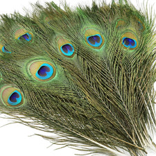 10PCS Real Natural Peacock Eye Feathers 10-12 Inch for DIY Craft Floral Arrangem