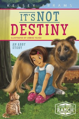 It's Not Destiny (Second Chance Ranch)