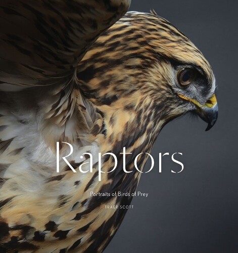 Thumbnail - Traer Scott Raptors (gebundene Ausgabe)