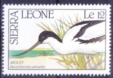 Sierra Leone 1990 MNH, Pied Avocet, Birds