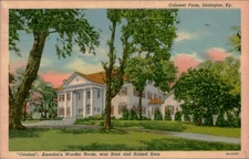 Postcard: C "Citation", America's Wonder Horse, was Bred and Raised He