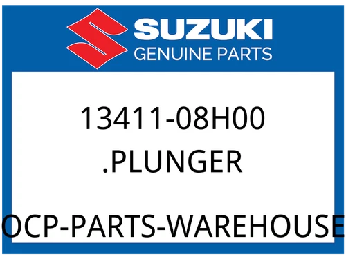 .PLUNGER ASSY