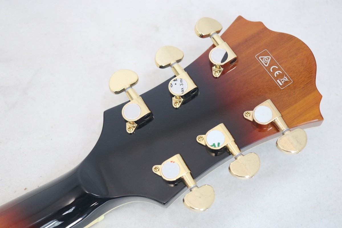Ibanez AF95-BS | eBay