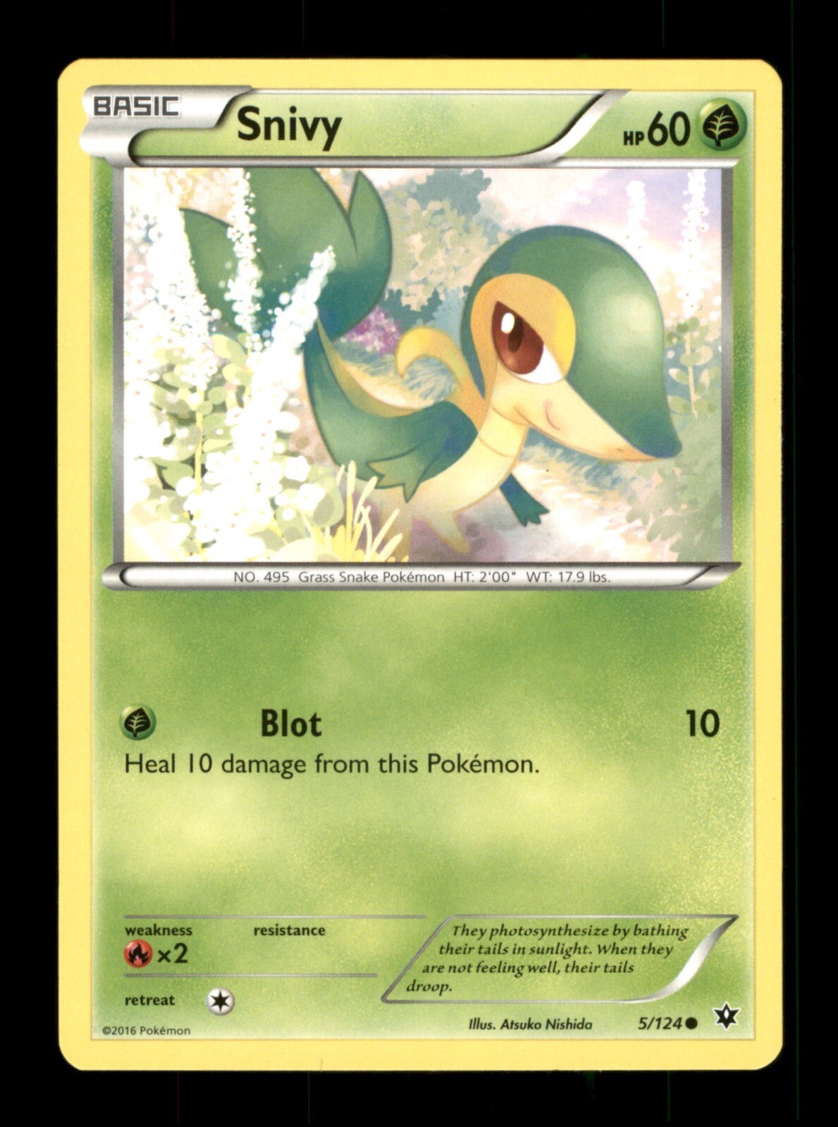 Snivy 5/124 Non-Holo Nintendo  Pokemon Trading Card TCG 