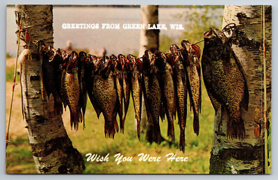 Vintage Postcard WI Green Lake Greetings Fish Hanging From Tree -1972