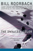 The Smallest Color Bill Roorbach Taschenbuch Kartoniert / Broschiert Englisch
