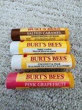Burt  s Bees Lip Balm 7 Count Assortment And Hand Salve