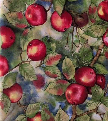 Michael Miller Fabrics, quilt fabric, 2 yds.