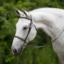 Premium Leather English Horse Bridle with Tack Set Available all Sizes
