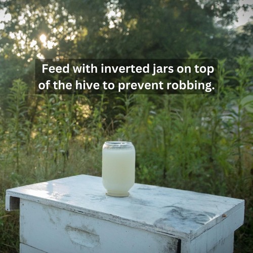 16 oz. Bee Feeding Stimulant with Essential Oils for Hive Health - Picture 4 of 8