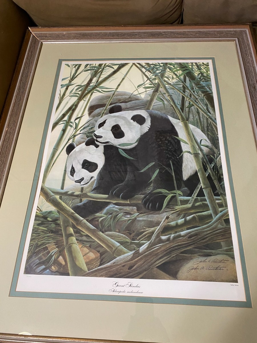 Pandaページ John A Ruthven (b1924)) 