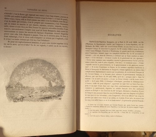 Livre relié cuir Napoléon Le petit illustré Victor HUGO chez Eugène HUGHES 1879 - Imagen 8 de 11