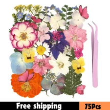 75Pcs Natural Pressed Dried Flowers & Butterfly Kit – Real Dried Flowers for Res