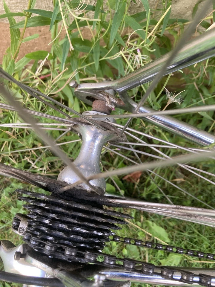 Bottecchia Vintage Rennrad Campagnolo RH 55 - Bild 2 von 4