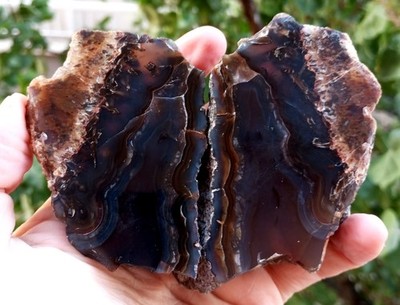 Extremely Rare Mirror Polished Turkish  Stick Agate Pair Uv Reactive