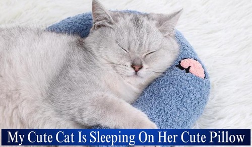 Pet Cat Pillows for Cats Dogs Ultra Soft Fluffy Pet Calming Toy U Shape Cuddler - Picture 4 of 57