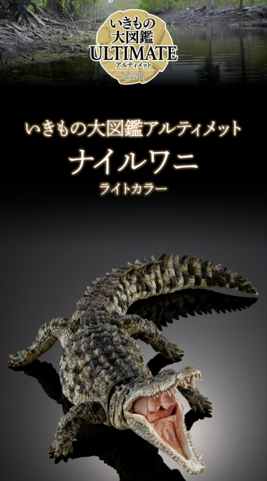 その他 kiiichan Bandai Ikimono Daizukan Ultimate Nile Crocodile Light Color Figure