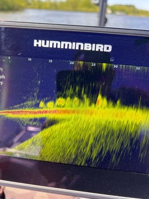 Humminbird MEGA Live 1 (ML1) Imaging Transducer