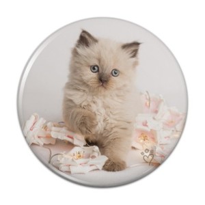 Home Kitchen Are You Kitten Me Right Meow Cat Kitchen