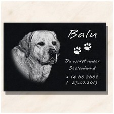 Granit Tier Grabstein Grabplatte Hund mit Foto + Text Gravur 30 x 20 cm  DS-102