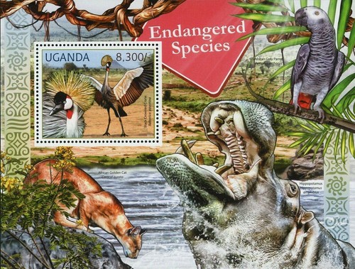 Endangered Species Black Crowned Crane African Golden Cat Caracal S/S MNH #2804 - Picture 11 of 12