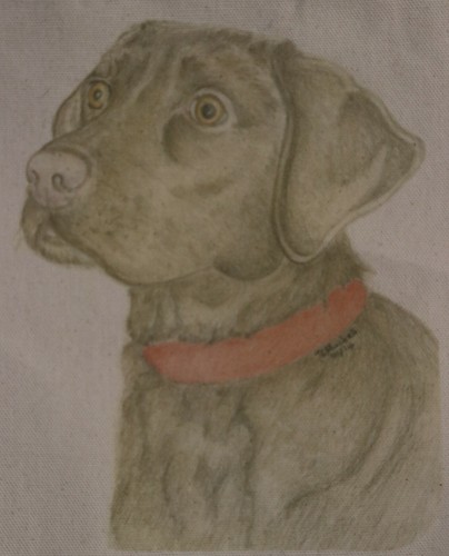 Labrador Bags- 3 sizes of bag 6 different designs - prints from original artwork - Picture 6 of 12