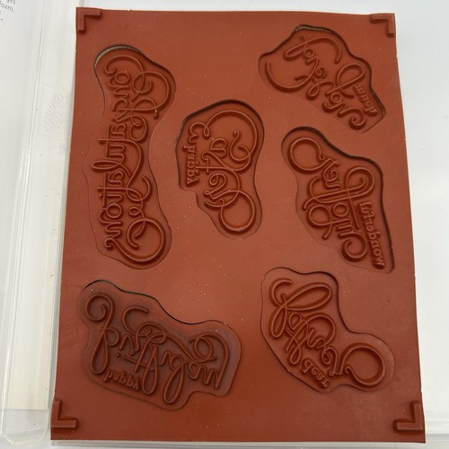 Stampin Up! Set di 6 francobolli, fiori favolosi, messaggi per mamma, fiori di campo e... - Foto 19 di 22