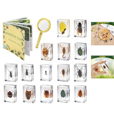 15 Lifelike Resin Butterfly & Beetle Insect Specimens for STEM Education