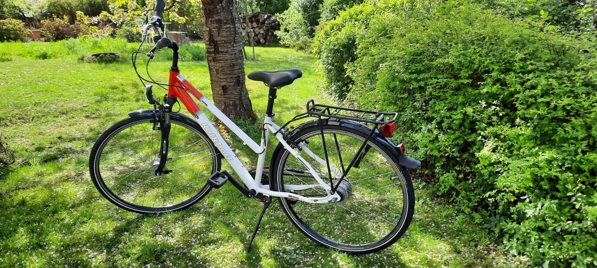 gazelle e bike fahrrad Ultimate T10 and C380 2 stück kräuterschoner kühlschrank PU Farbe:Leo 06 Experience luxurious comfort and