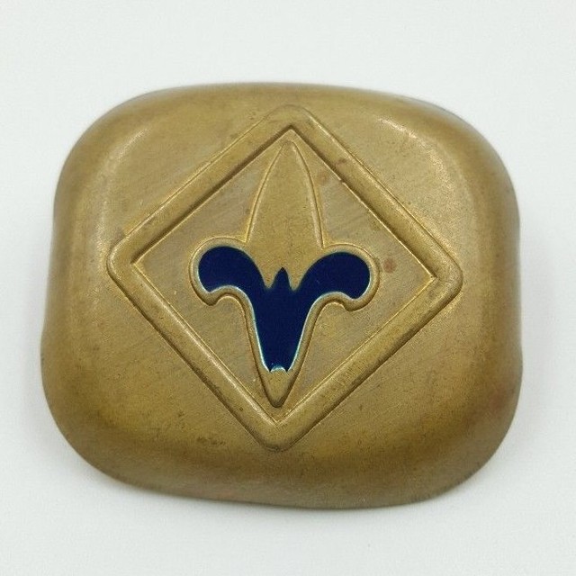 Vintage Boy Cub Scouts elo Scarf Tie Neck Neckerchief Slide Cub BSA