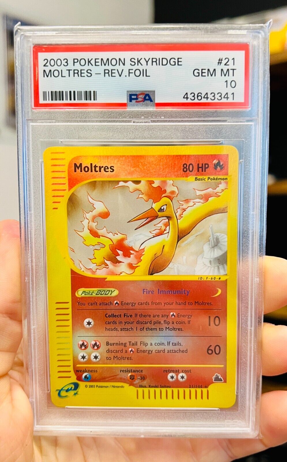 Moltres, Skyridge