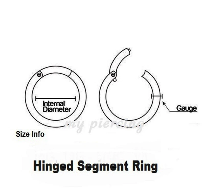 2x 20G 5/16" Anodizado Sin Costuras Segmento Pendiente Labio Nariz Anillo Tabique Foto 2 de 2