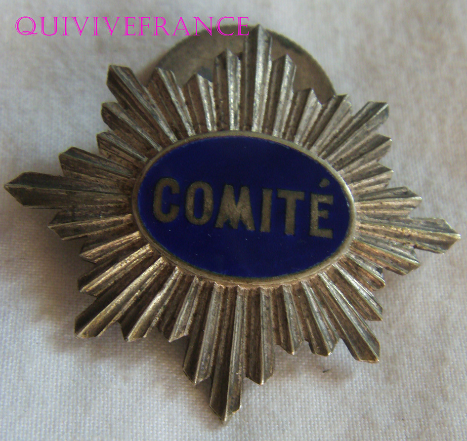 Médaillette Badge Comité National De L'Enfance - Insigne Original 1914-1918 France