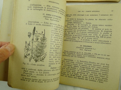 LOTTO SEI MANUALI TECNICI RURALI AGRICOLTURA CASEIFICIO AGRARIA PASTORIZIA 1937 - Picture 2 of 4