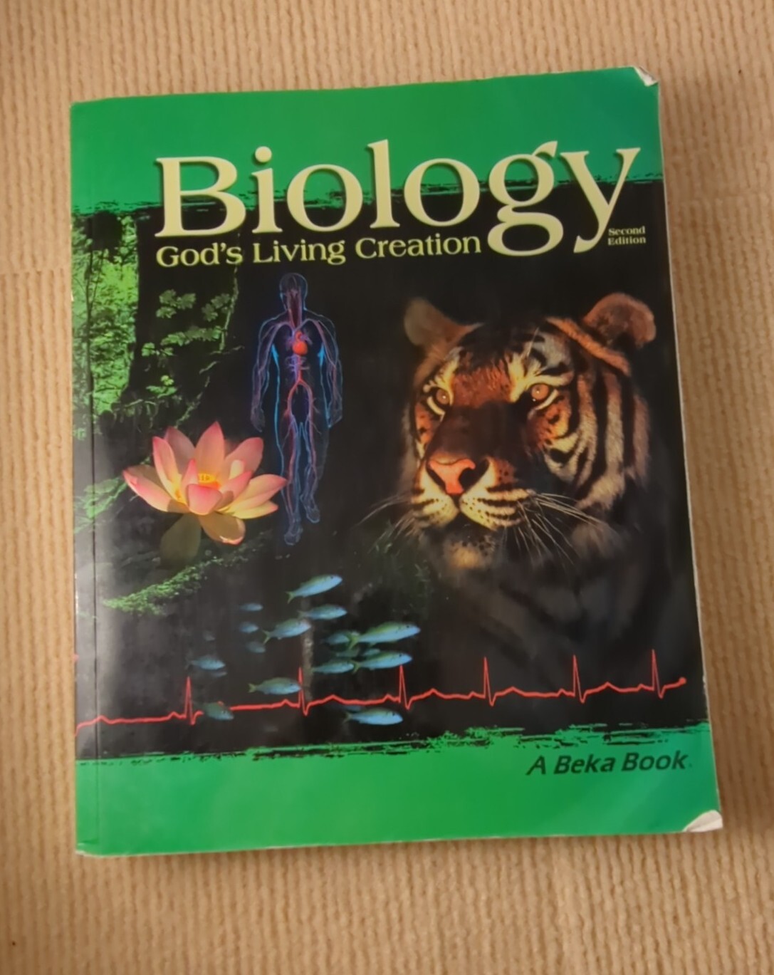 Abeka Biology God's Living Creation 10th Grade Student Textbook 2nd ed