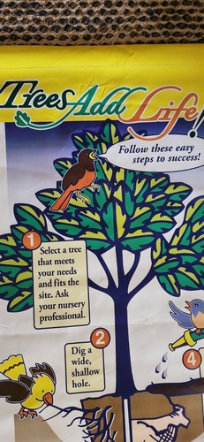 Huge TREES ADD LIFE Vinyl Poster. 30" by 50". - Picture 3 of 7