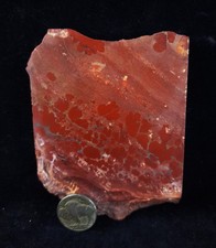 Mimbres Picture Jasper