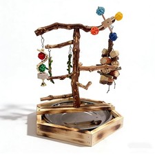 Wooden Bird Play Stand for Parakeets  Cockatiels, Natural Wood Perch Gym wit...