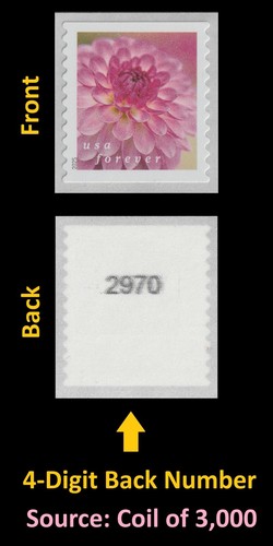 US 5982-5991 Bobine Dahlias Single Set 10 4d Arrière # MNH 2025 - Photo 3 sur 13