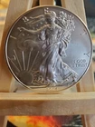 U.S. Mint American Eagle 2014 1 oz Silver Coin 0.999 Fine Uncertified