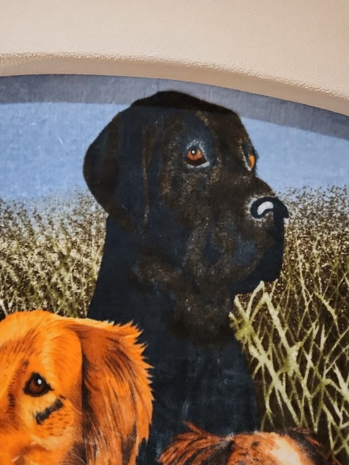 Manta de colección 7 pies X 5 pies Black Lab, Golden Lab, Springer Spaniel... Foto 4 de 4