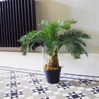 Foto 3 di 5