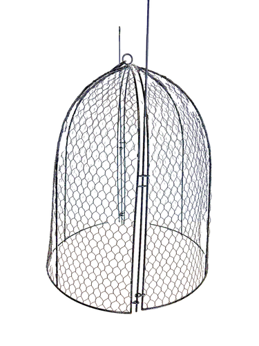 2 Rustic Metal Wire Cloche Dome Plant Cover –Garden 14" H x 11.75" New