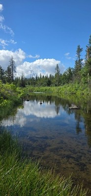 Gold Claim 20 Acre Camping mining Prospecting Shasta Creek fish nuggets fun mine