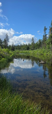 #ad Gold Claim 20 Acre Camping mining Prospecting Shasta Creek fish nuggets fun mine $300.00